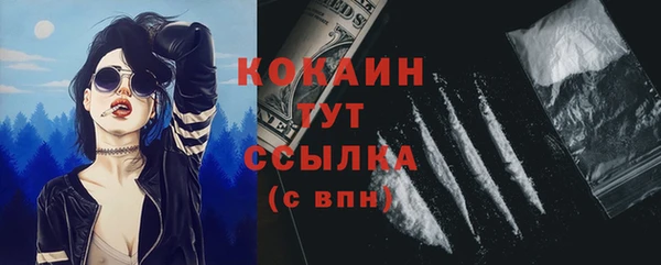 дмт Пересвет