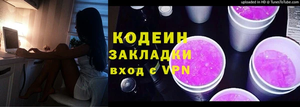 дмт Пересвет