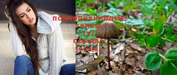 спайс Переславль-Залесский