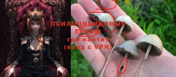 дмт Пересвет