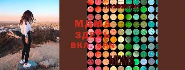 дмт Пересвет