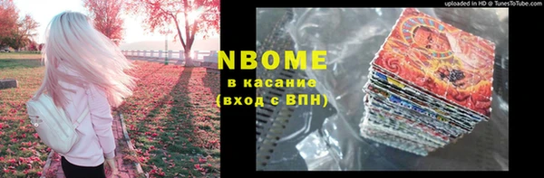 дмт Пересвет