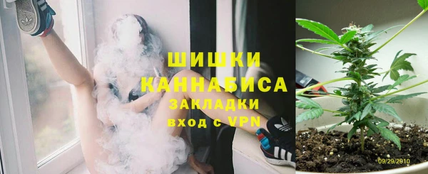 дмт Пересвет