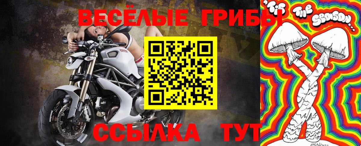 Псилоцибиновые грибы MAGIC MUSHROOMS  Псилоцибиновые грибы мицелий  Усть-Кут  Вход с VPN 
