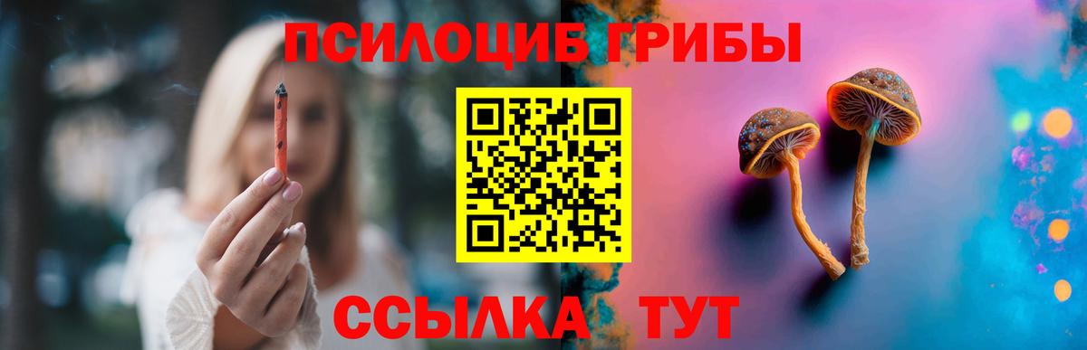 Псилоцибиновые грибы мухоморы Усть-Кут